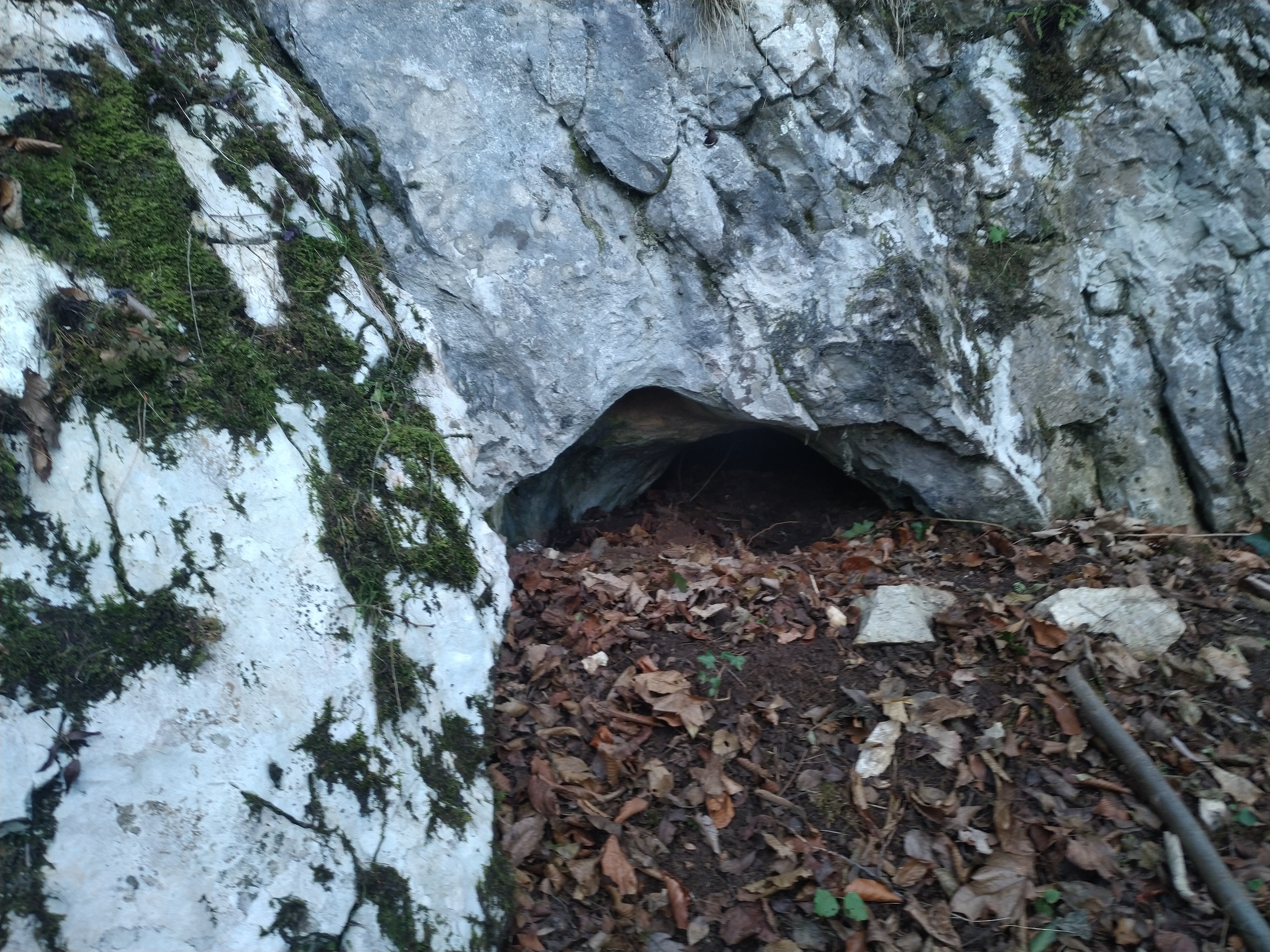 Pestera Socolovat Nr.16 - Image 1